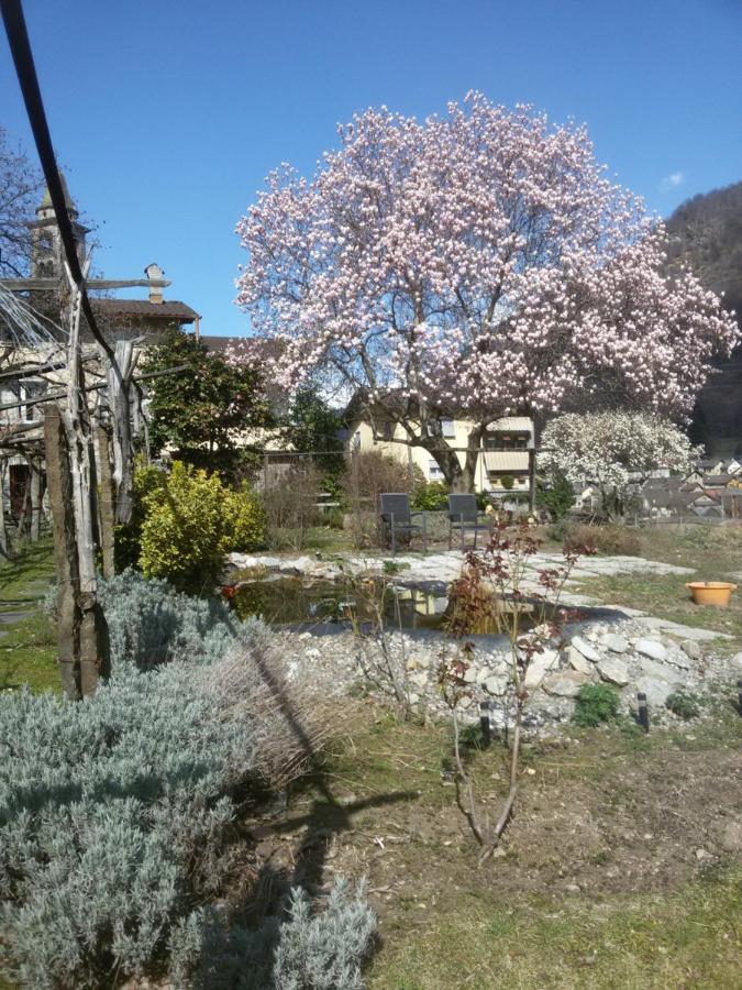 Bed and Breakfast Grotto Pergola Giornico Esterno foto